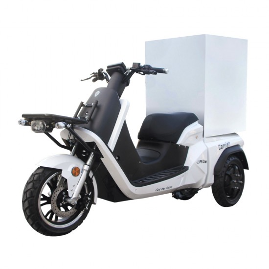 E-RIDE CARRIER DELIVERY 100
