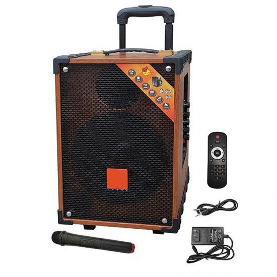 Σύστημα Karaoke με Ασύρματα Μικρόφωνα  J107 σε Χρώμα καφε