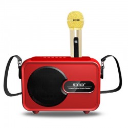 Σύστημα Karaoke με Ασύρματα Μικρόφωνα SD-502 σε Χρώμα Κοκίνο