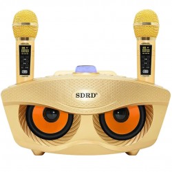 Σύστημα Karaoke με Ασύρματα Μικρόφωνα SD-306 σε Χρώμα Χρυσό