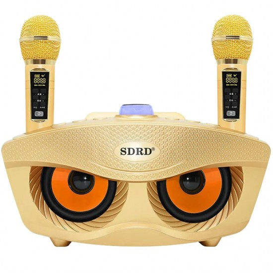 Σύστημα Karaoke με Ασύρματα Μικρόφωνα SD-306 σε Χρώμα Χρυσό